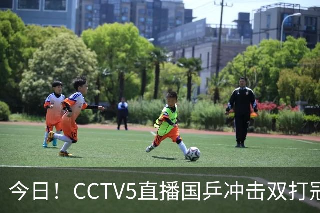 今日！CCTV5直播国乒冲击双打冠军，孙颖莎出战，张本美和VS早田希娜